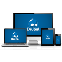 Drupal 8 PDF Export: Handling 600+ Node Reports