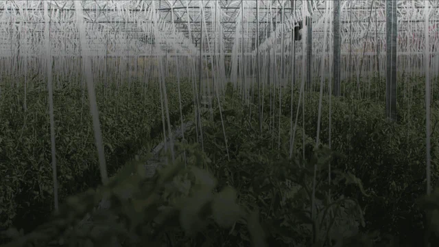 AgriTech Software Development Company